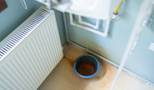 Best Professional water damage repair  in Estancia, NM