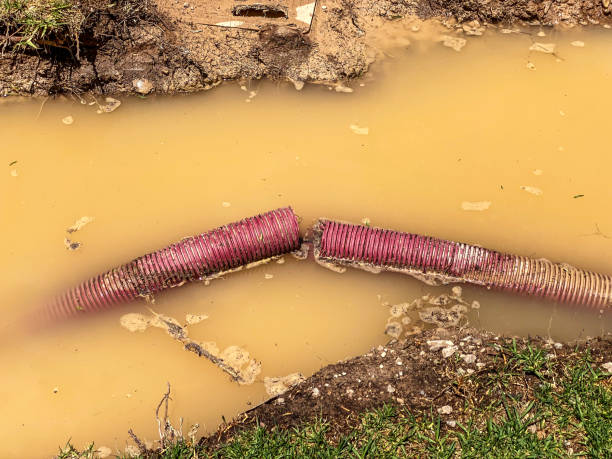 Best Carpet water damage restoration  in Estancia, NM